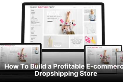 How To Build a Profitable E-commerce Dropshipping Store